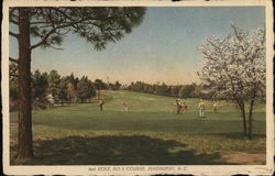 Second Hole, Number Three Course Postcard