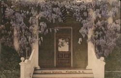 Fragrant Wisteria Postcard