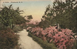 A Walk Postcard