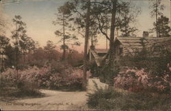 The Spring Bungalow Postcard