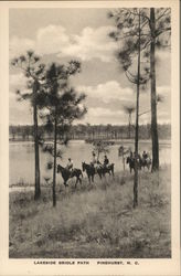 Lakeside Bridle Path Postcard