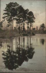 Reflections, McKenzie's Pond Postcard