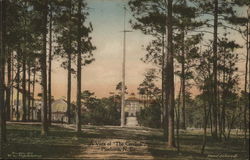 A Vista of "The Carolina" Pinehurst, NC Postcard Postcard Postcard