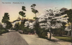 The Carolina Postcard