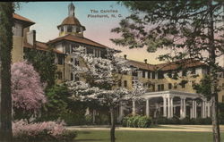 The Carolina Postcard