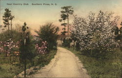 Near Country Club Postcard