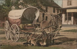 Horse-Drawn Covered Wagon Postcard