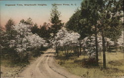 Dogwood Time, Weymouth Heights Southern Pines, NC Postcard Postcard Postcard