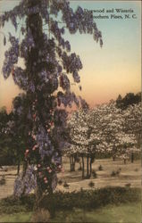 Dogwood and Wisteria Postcard