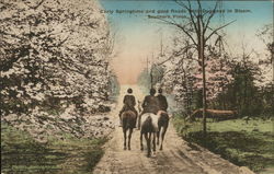 Early Springtime and good Roads with Dogwood in Bloom Southern Pines, NC Postcard Postcard Postcard