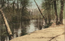 The Lumbee River, Near Southern Pines, N. C. North Carolina Postcard Postcard Postcard