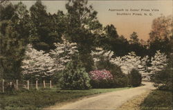 Approach to Cedar Pines Villa Southern Pines, NC Postcard Postcard Postcard