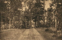 Weymouth Woods Looking toward the Village Southern Pines, NC Postcard Postcard Postcard