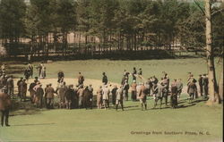 Greetings from Southern Pines, NC Postcard Postcard Postcard