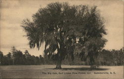 The Big Oak, Golf Links, Pine Forest Inn Postcard