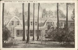 Cedar-Pines Villa, Hedge Row Postcard