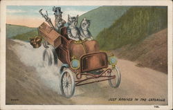 Just Arrived in the Catskills Postcard