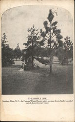 The Simple Life, Southern Pines, N.C. Trees Postcard Postcard Postcard