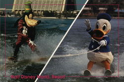 Would You Believe Goofy and Donald on water skis? Postcard