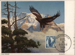 Steinadler Maximum Cards Postcard Postcard Postcard