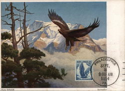 Eagle Flying in Mountains Postcard