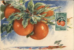 The Fruits of France Maximum Cards Postcard Postcard Postcard