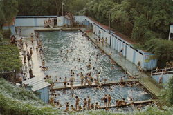 Opal Hot Springs Matamata, New Zealand Postcard Postcard Postcard