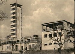 Muggel Tower and Restaurant Postcard