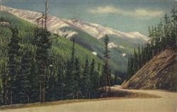 Western Slope, Berthoud Pass Highway Scenic, CO Postcard Postcard