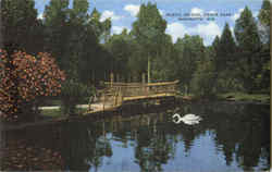 Rustic Bridge, Henes Park Postcard