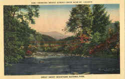 Swinging Bridge Across Creek Postcard