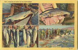 Fishing Is Good In The Northwest Postcard Postcard