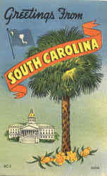 Greetings From South Carolina Postcard