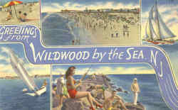 Greetings From Wildwood By The Sea Postcard