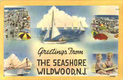 Greetings From The Seashore Wildwood Postcard