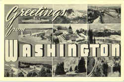 Greetings From Washington Postcard