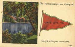 The Surroundings Are Lovely At Gate City Virginia Postcard Postcard