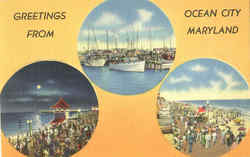 Greetings From Ocean City Maryland Postcard Postcard