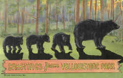 Greetings From Yellowstone Park, Yellowstone Park Postcard