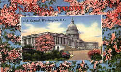 Greetings From U. S. Capitol Postcard