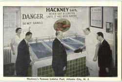 Hackney's Famous Lobster Pool Atlantic City, NJ Postcard Postcard