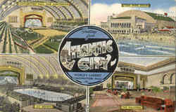 Greetings From Atlantic City New Jersey Postcard Postcard