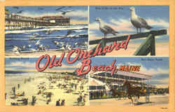 Old Orchard Beach Postcard