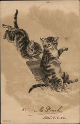 Two Kittens Playing in Snow Postcard