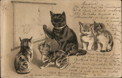 Cats Having Class... Postcard