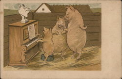 Piano Lessons Pigs Postcard Postcard