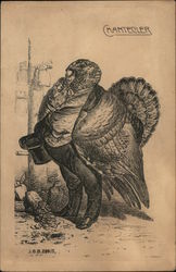 Half Man Half Turkey "Chantecler " Postcard