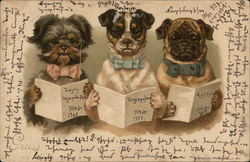 Three Dogs in Bow Ties Postcard