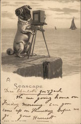 Dog Posing With Camera Near Water Postcard