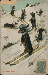 Dachshunds Skiing Postcard